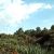 7700-boca-office-preserve-view