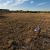 Jamie Danburg stands on undeveloped property soon to be developed.