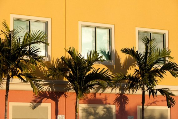 Peninsula Detail